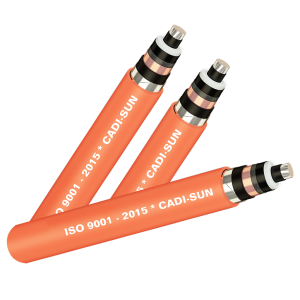 3.DATA-CTS-1X-anh-dai-dien