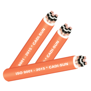 6.CXV-CTS-3X-anh-dai-dien