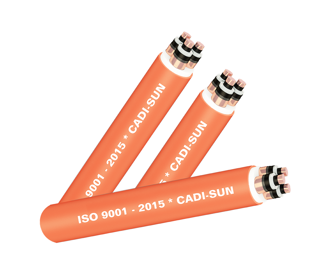 6.CXV-CTS-3X-anh-dai-dien