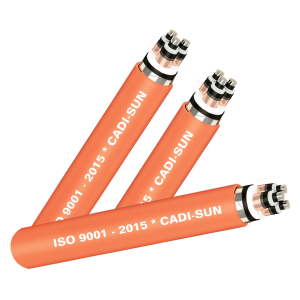 7.DSTA-CTS-W-3x-anh-dai-dien