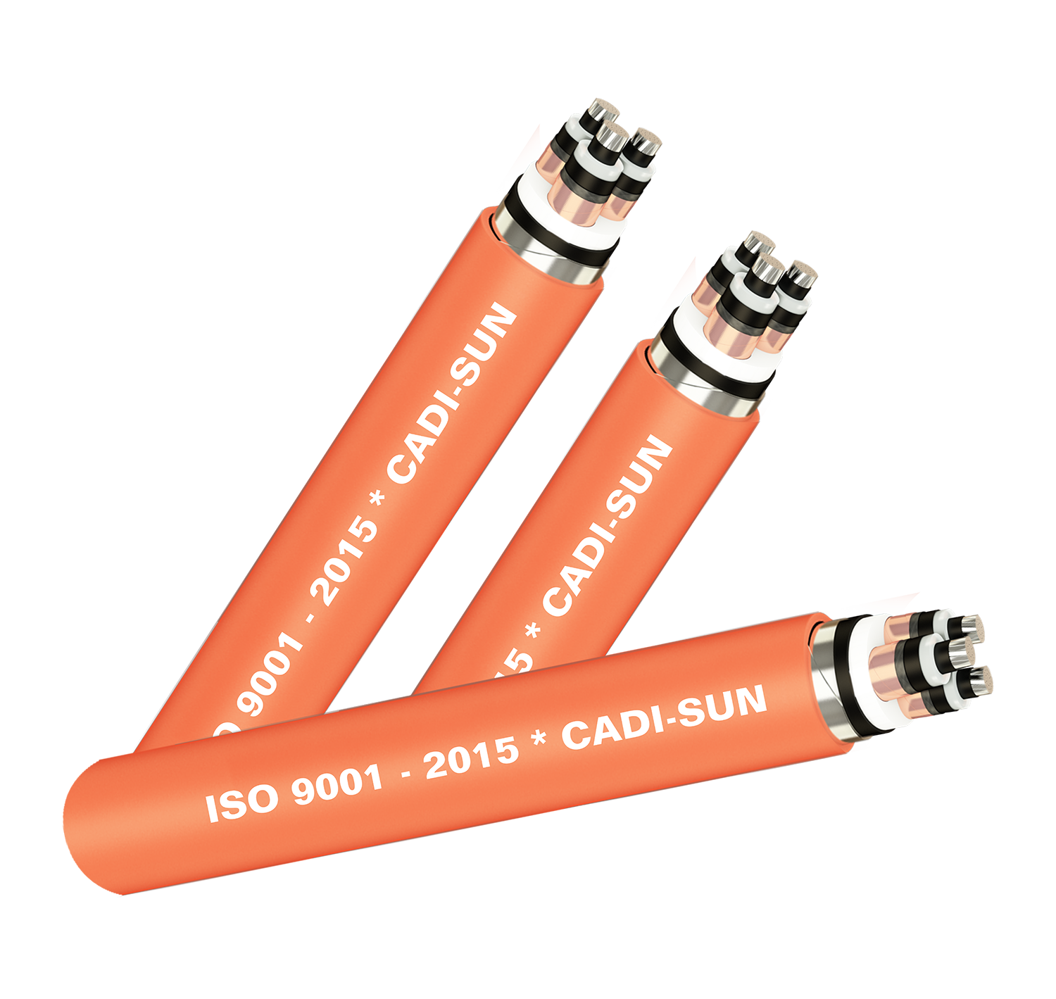 7.DSTA-CTS-W-3x-anh-dai-dien