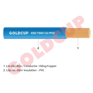 day-dien-mem-goldcup