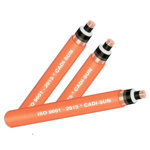 CXVCTS1x-anh-đai-dien