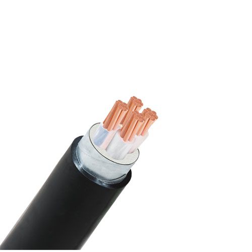 Cáp chậm cháy ngầm Cadivi CXV/DSTA/FRT