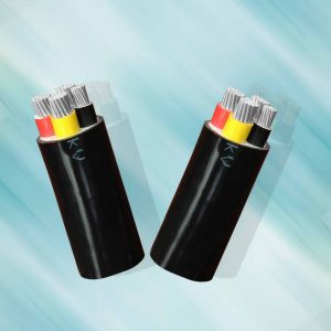 Cáp điện nhôm AVV Cadivi