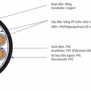 Cấu trúc Cáp điều khiển thường Cadivi DVV