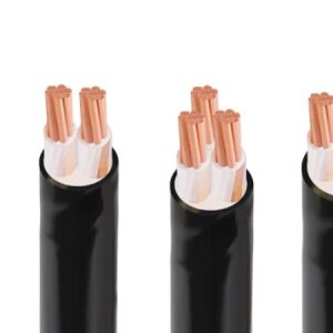 dac-dien-cua-cap-cham-chay-ngam-cadivi