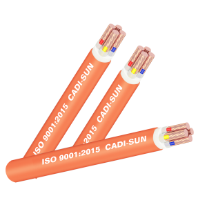 FSN-CXV-4x-anh-dai-dien