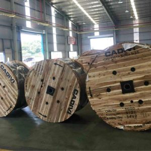 cap-ngam-ha-the-cadivi-cxv-dsta