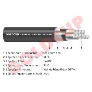 cap-nhom-ngam-goldcup-3x