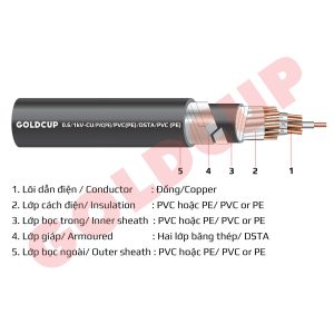 cap-thong-tin-ngam-goldcup