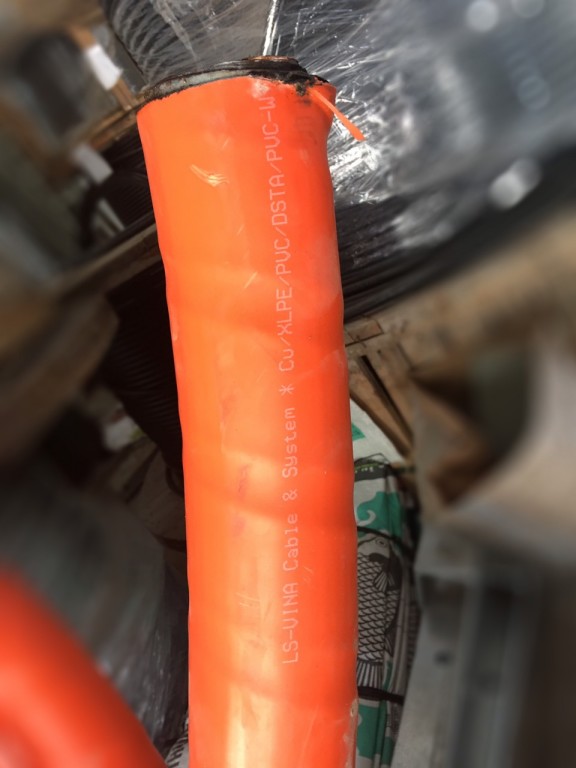 cap-trung-the-ls-vina