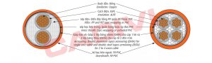 cấu trúc Cáp chậm cháy ngầm Cadivi CXV/DSTA/FRT