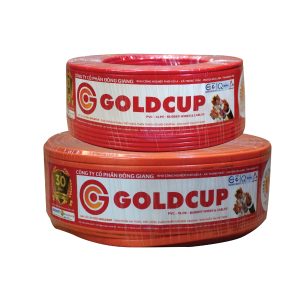 day-det-golcdcup-cham-chay