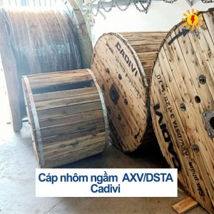 Cáp nhôm ngầm AXV-DSTA Cadivi