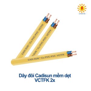 Day-doi-cadisun-mem-det-VCTFK-2x