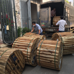 cap-chong-chay-lsvina-hai-phong