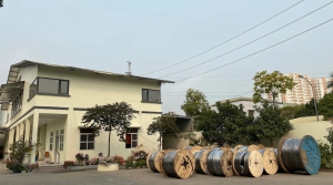 Cáp Nhôm Vặn Xoắn Phú Nghĩa